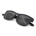 Wayfarer Sunglasses for Men